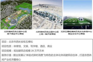 思源興業 深耕一二線房地產代銷，多渠道整合營銷引領行業新賽道